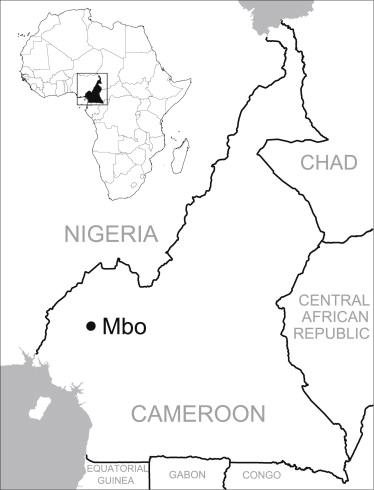 Print Africa_inset5.svg